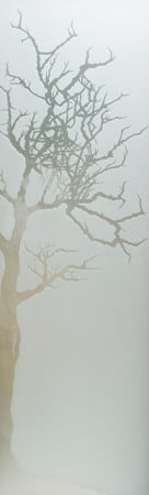 Door Glass Insert featuring a Frosted Glass Tree Design Sandblast Etched Glass Winter Tree Design by Sans Soucie