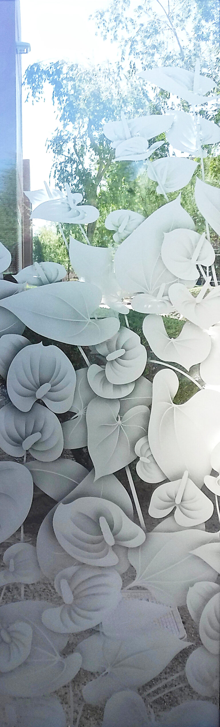 Anthurium