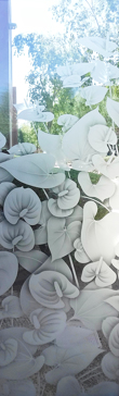 Anthurium