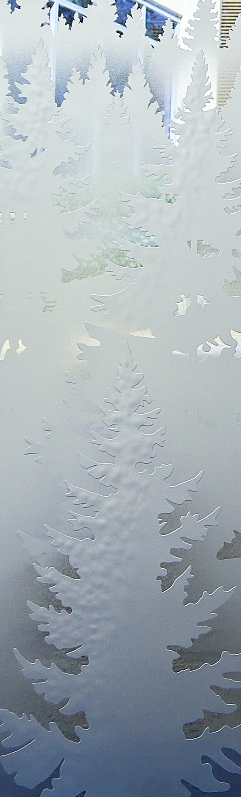 Pine Trees