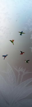 Hummingbird Lovers