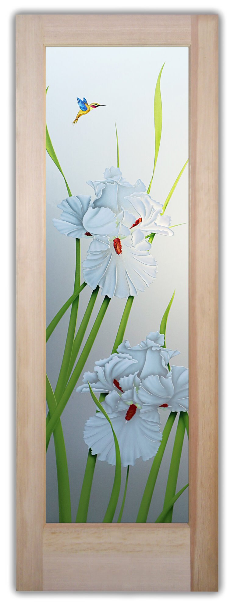 Iris Hummingbird II