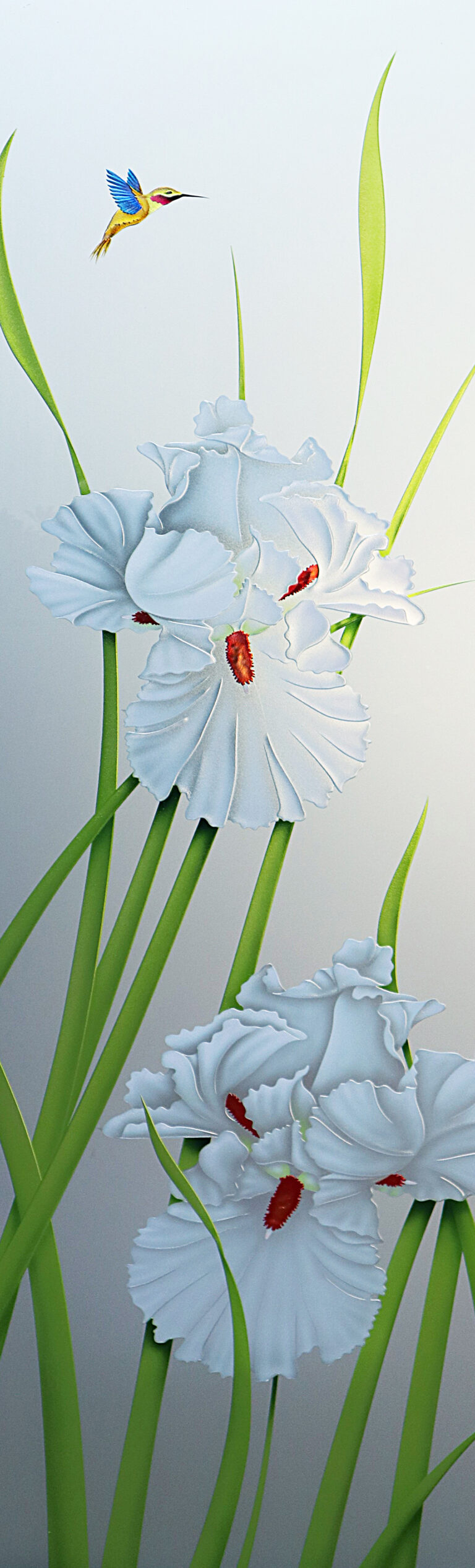 Iris Hummingbird II