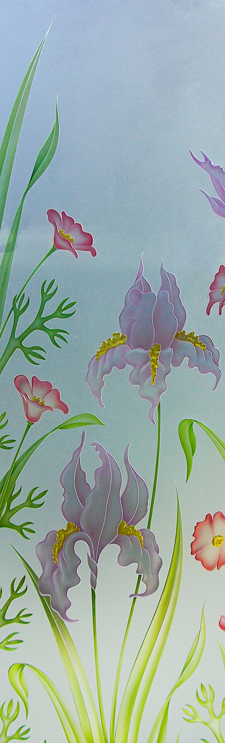Iris Poppy