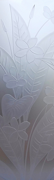 Plumeria