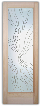 Semi-Private Front Door with Sandblast Etched Glass Art by Sans Soucie Featuring Abstract Liquid Abstract Design
