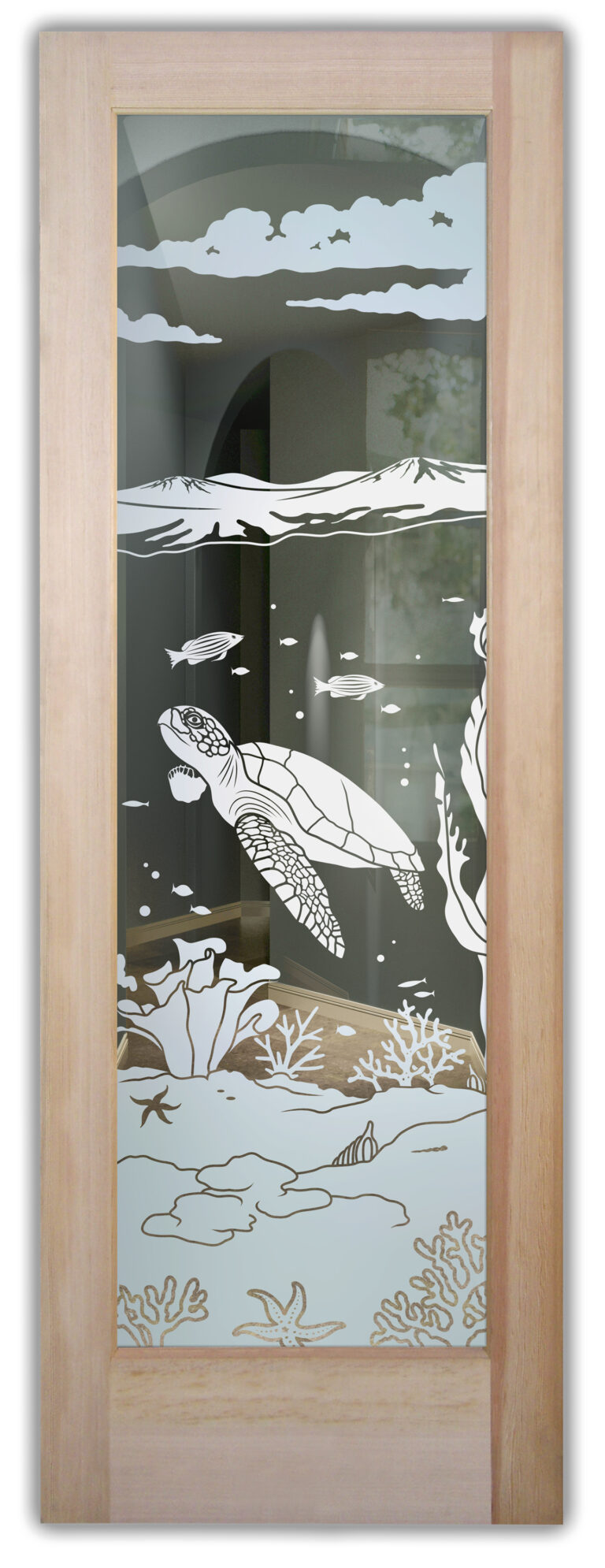 Aquarium Sea Turtle
