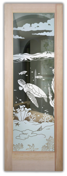 Aquarium Sea Turtle