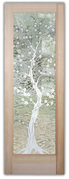 Delicate Cherry Blossom