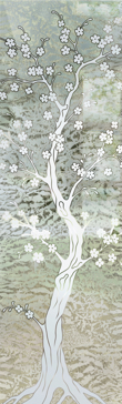 Delicate Cherry Blossom