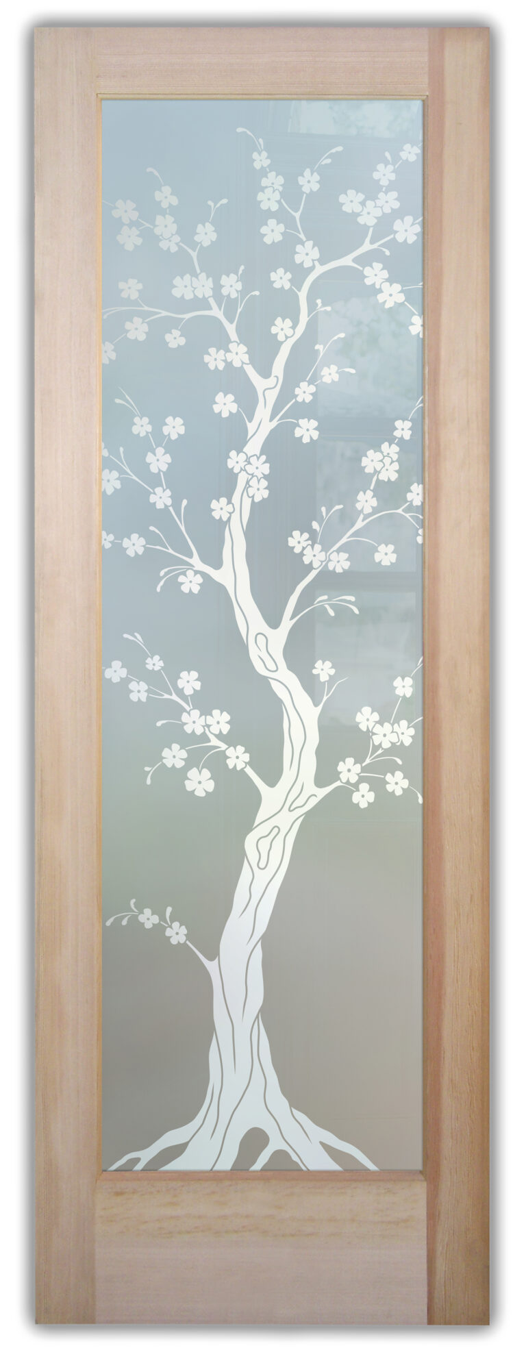 Delicate Cherry Blossom