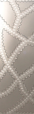 Dotted Bands