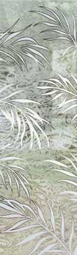 Ferns Inviting