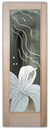 Front Door showcasing a Frosted Glass Tropical Design with Sandblast Etched Glass Art by Sans Soucie Hibiscus Ripples Design