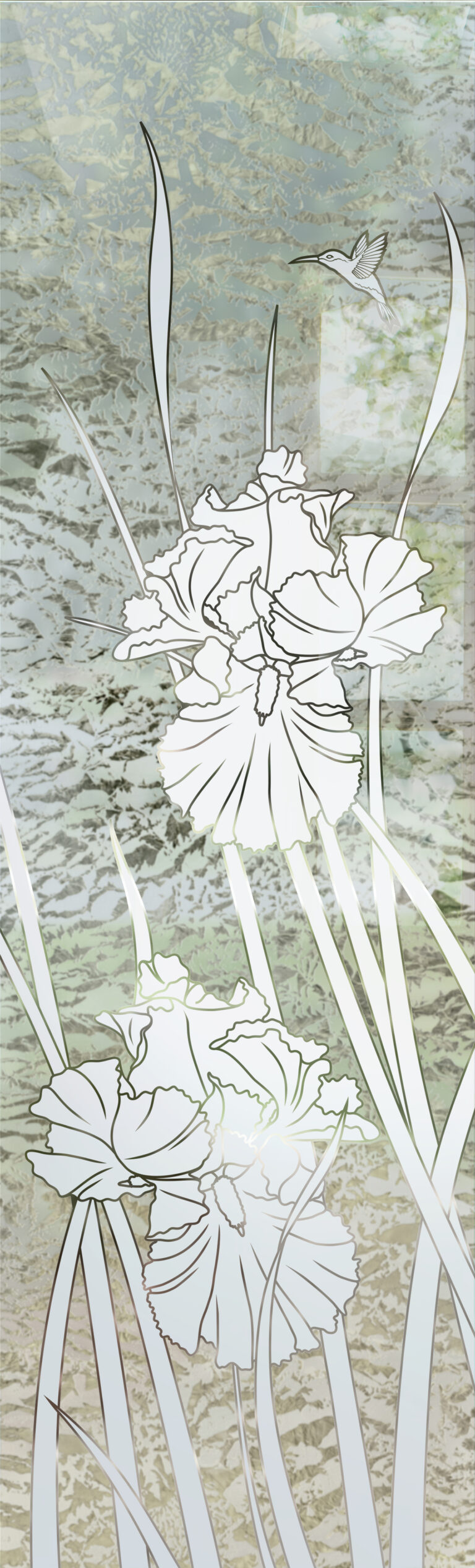 Iris Hummingbird II