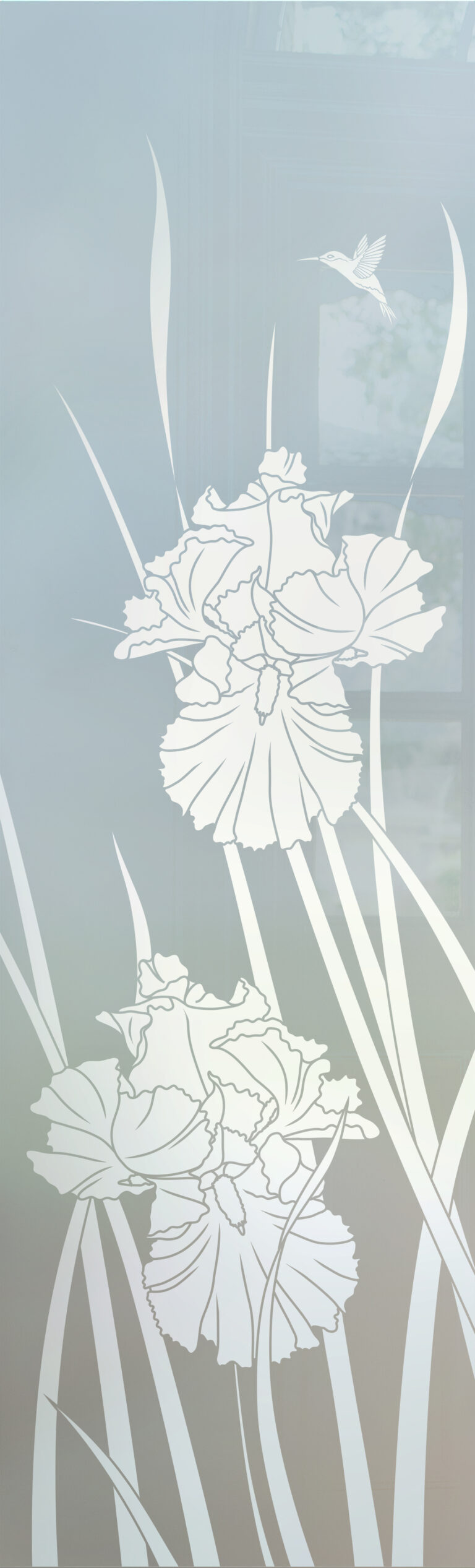 Iris Hummingbird II