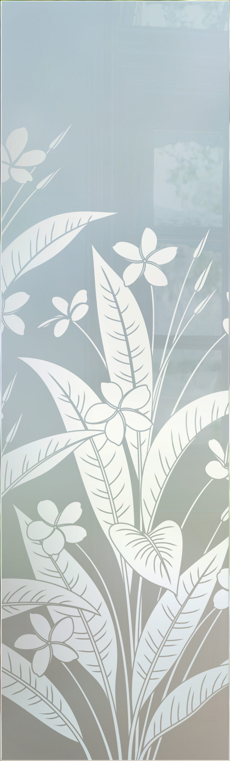 Plumeria