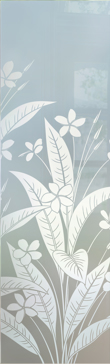 Plumeria