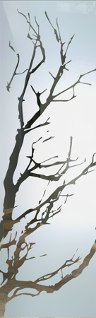 Interior Glass Insert with sandblast Frosted Glass Design Art Glass Featuring Sandblast Etched Glass by Sans Soucie