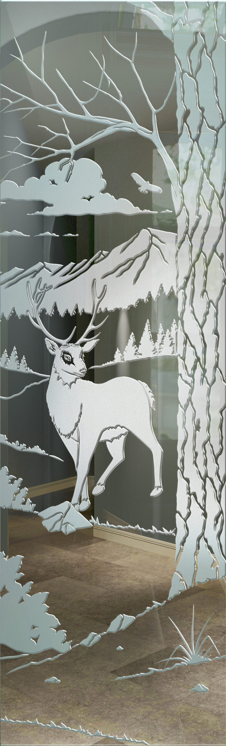 Wandering White Tail