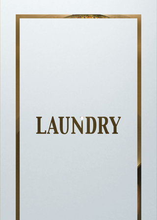 Laundry Insert showcasing a Frosted Glass Traditional Design with Sandblast Etched Glass Art by Sans Soucie Classic 1 Pinstripe Design