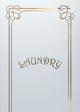 Custom-Designed Decorative Laundry Insert with Sandblast Etched Glass by Sans Soucie Art Glass Handcrafted by Glass Artists