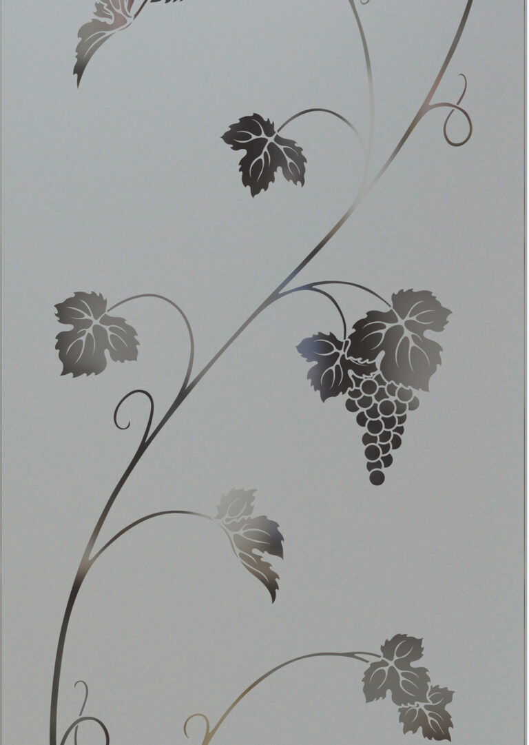 Vineyard Grapes Unfurled