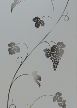 Vineyard Grapes Unfurled