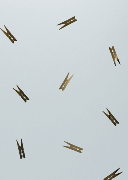 Clothespins