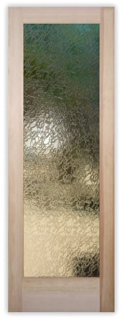 Interior Door featuring Frosted Glass Design Etched Glass by Sans Soucie Art Glass with Custom Patterns Design Delta Clear
