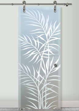 Ferns