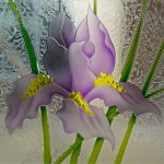 Image for Remarkable Feature in our Home