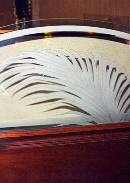 Spotlight Fern