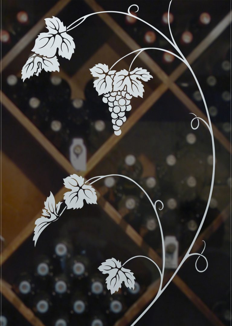 Vineyard Grapes Unfurled