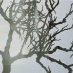 Image for First Rate Company