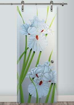 Handmade Sandblasted Frosted Glass Sliding Glass Barn Door for Private Featuring a Floral Design Iris Hummingbird II by Sans Soucie