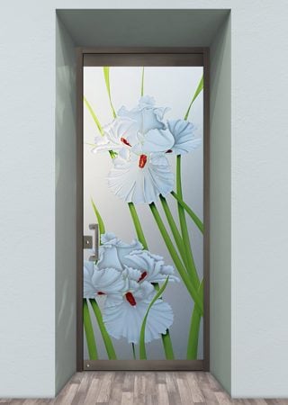 All Glass Front Door featuring a Frosted Glass Floral Design Sandblast Etched Glass Iris Hummingbird II Design by Sans Soucie