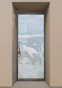 Aquarium Sea Turtle