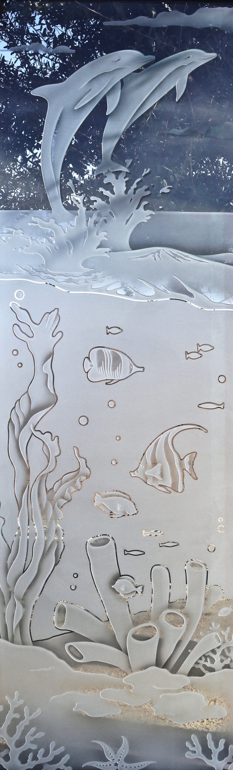 Aquarium Dolphins