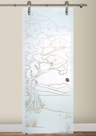 Glass Barn Door with sandblast Frosted Glass Design Art Glass Featuring Sandblast Etched Glass by Sans Soucie