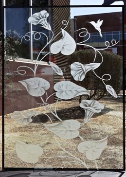 Window with a Frosted Glass Morning Glory Floral Design for Semi-Private by Sans Soucie Art Glass