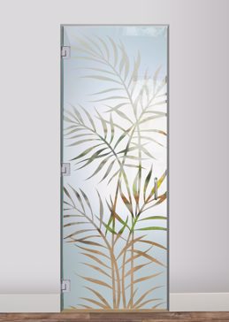 Ferns