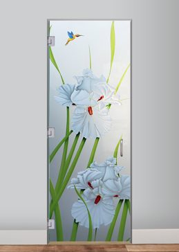 Iris Hummingbird II