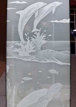 Dolphins Leaping & Sea Turtle