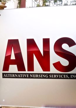 Handmade Sandblasted Frosted Glass Glass Sign for Private Featuring a Logos Design Alternative Nursing Services (similar look) by Sans Soucie