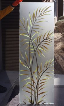 Ferns