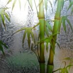 Image for Provides an awesome ambience and barrier with a sense of space