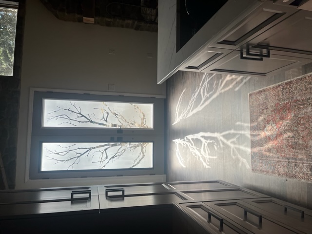 Frosted glass pair doors with tree branch design casting shadows across the floor