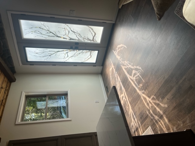 Interior view of Craftsman double front doors with frosted tree branch glass casting dramatic sunlight patterns across the wood floor.