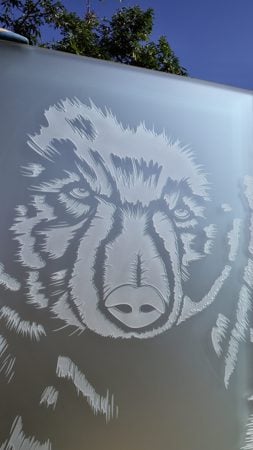 Partition showcasing a Frosted Glass Wildlife Design with Sandblast Etched Glass Art by Sans Soucie Grizzly Design